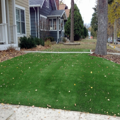 Fake Grass Carpet Haleiwa, Hawaii Lawns, Front Yard