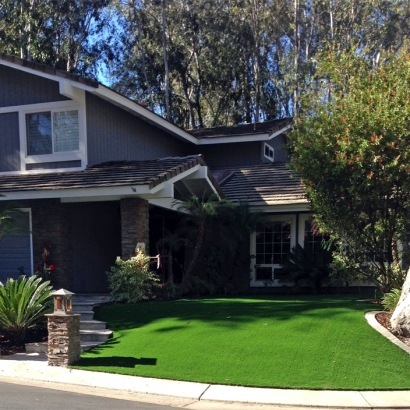 Fake Grass Carpet Honalo, Hawaii Backyard Deck Ideas, Small Front Yard Landscaping