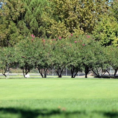 Fake Grass Carpet Kurtistown, Hawaii Putting Green Turf