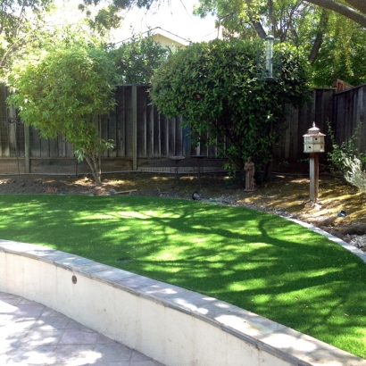 Fake Grass Hawaiian Ocean View, Hawaii Rooftop, Commercial Landscape