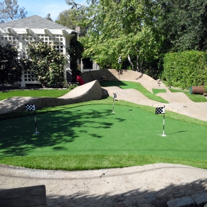 Faux Grass Papaikou, Hawaii Roof Top, Backyard Landscape Ideas