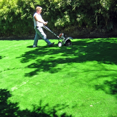 Grass Carpet Laie, Hawaii Landscaping, Backyard Ideas