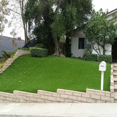 Grass Carpet Waimea, Hawaii Lawn And Garden, Front Yard Landscaping