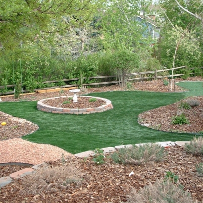 Grass Carpet Wainaku, Hawaii Paver Patio, Beautiful Backyards