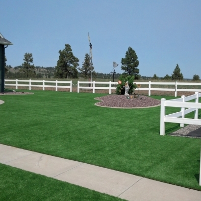 Grass Installation Mililani Town, Hawaii Garden Ideas, Backyard Garden Ideas