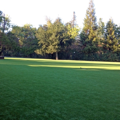 Grass Installation Waimalu, Hawaii Landscape Ideas, Parks