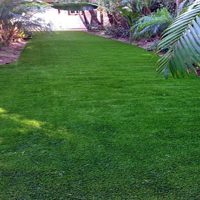 Grass Turf Hauula, Hawaii Lawns, Backyard Ideas