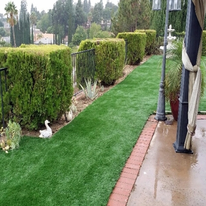 Grass Turf Pepeekeo, Hawaii Rooftop, Beautiful Backyards