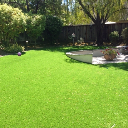 Green Lawn Leilani Estates, Hawaii Landscaping Business, Beautiful Backyards