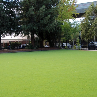 Green Lawn Wainaku, Hawaii Home And Garden, Commercial Landscape