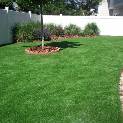 How To Install Artificial Grass Makaha, Hawaii Backyard Playground, Backyard Designs