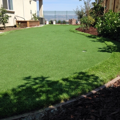 Outdoor Carpet Waiohinu, Hawaii Paver Patio, Backyard Landscaping