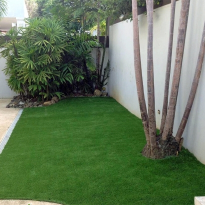 Plastic Grass Naalehu, Hawaii Landscaping, Backyard Landscaping Ideas