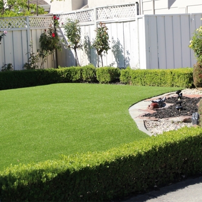 Synthetic Grass Cost Kukuihaele, Hawaii City Landscape, Backyard Ideas