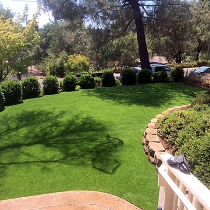 Synthetic Grass Maunawili, Hawaii Roof Top, Backyards