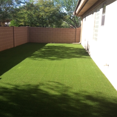 Synthetic Grass Pukalani, Hawaii Landscape Photos, Backyard Ideas