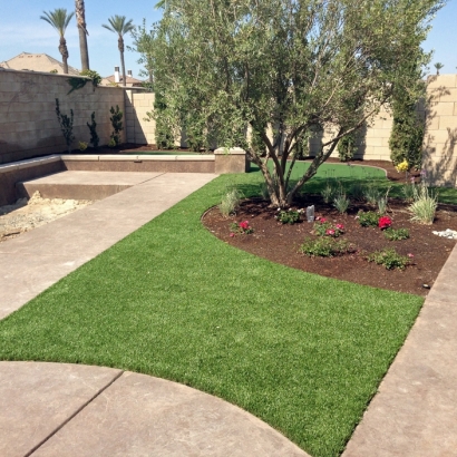 Synthetic Lawn Fern Forest, Hawaii Paver Patio, Front Yard Ideas