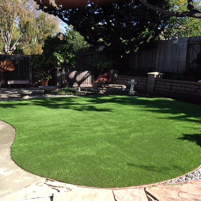 Synthetic Lawn Pearl City, Hawaii Landscape Ideas, Backyard