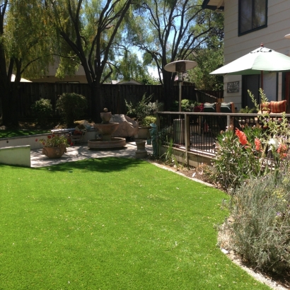 Synthetic Lawn Waihee-Waiehu, Hawaii Garden Ideas, Backyard Landscaping Ideas