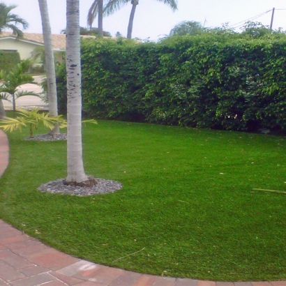 Synthetic Turf Supplier Captain Cook, Hawaii Paver Patio, Small Front Yard Landscaping