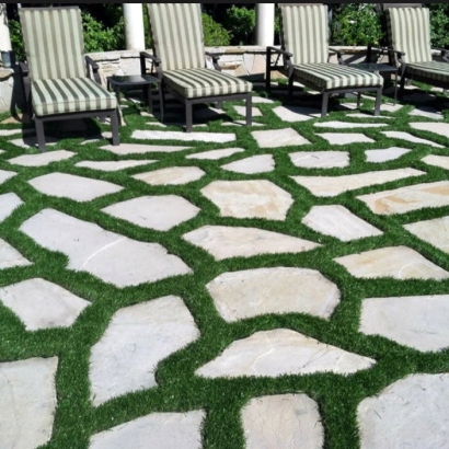 Synthetic Turf Supplier Honaunau-Napoopoo, Hawaii City Landscape, Backyard Landscaping