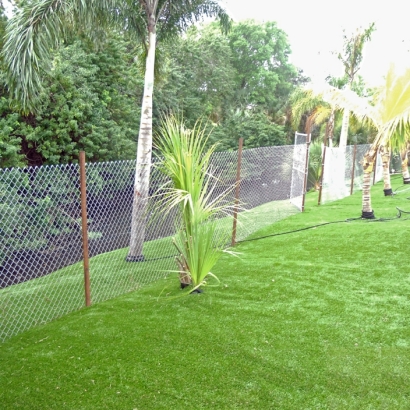 Synthetic Turf Supplier Wheeler Air Force Base, Hawaii Landscaping, Beautiful Backyards