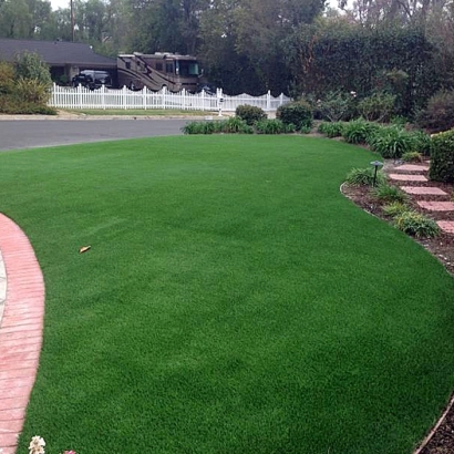 Synthetic Turf Waimea, Hawaii Rooftop, Front Yard Design