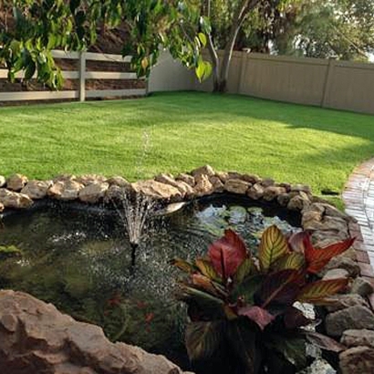 Turf Grass Waipio Acres, Hawaii Landscape Ideas, Backyard