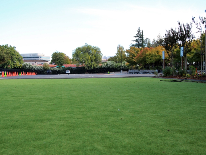 Artificial Grass Carpet Eden Roc, Hawaii Playground Flooring