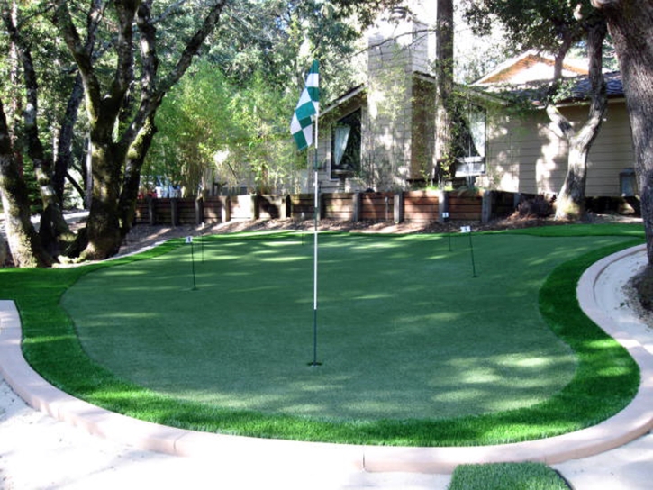 Artificial Grass Carpet Hawaiian Beaches, Hawaii Diy Putting Green, Backyards