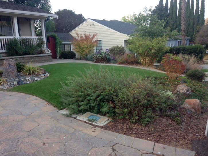 Artificial Grass Carpet Honokaa, Hawaii Gardeners, Front Yard