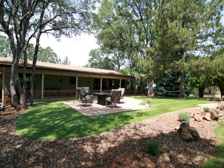 Artificial Grass Carpet Kaunakakai, Hawaii Paver Patio, Backyards