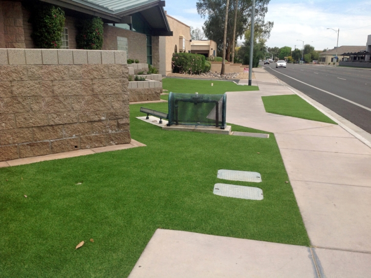 Artificial Grass Carpet Makakilo City, Hawaii Landscaping, Small Front Yard Landscaping