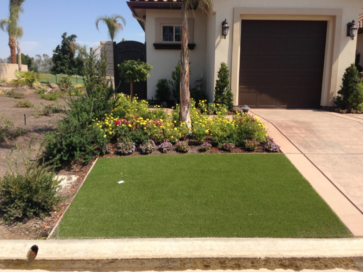 Artificial Grass Carpet Olowalu, Hawaii Gardeners, Front Yard Landscaping Ideas