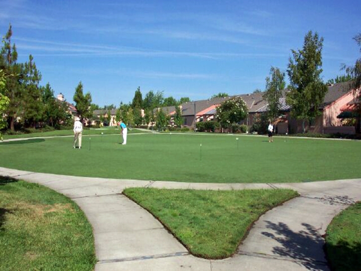 Artificial Grass Installation Haleiwa, Hawaii Indoor Putting Greens, Commercial Landscape