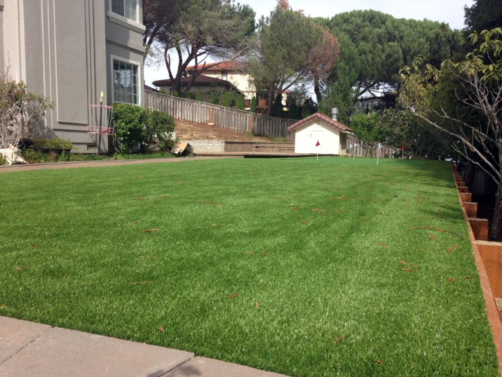 Artificial Grass Installation Hanalei, Hawaii Putting Green, Backyards