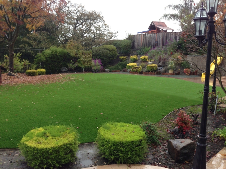 Artificial Grass Installation Kaunakakai, Hawaii Design Ideas, Backyard Ideas