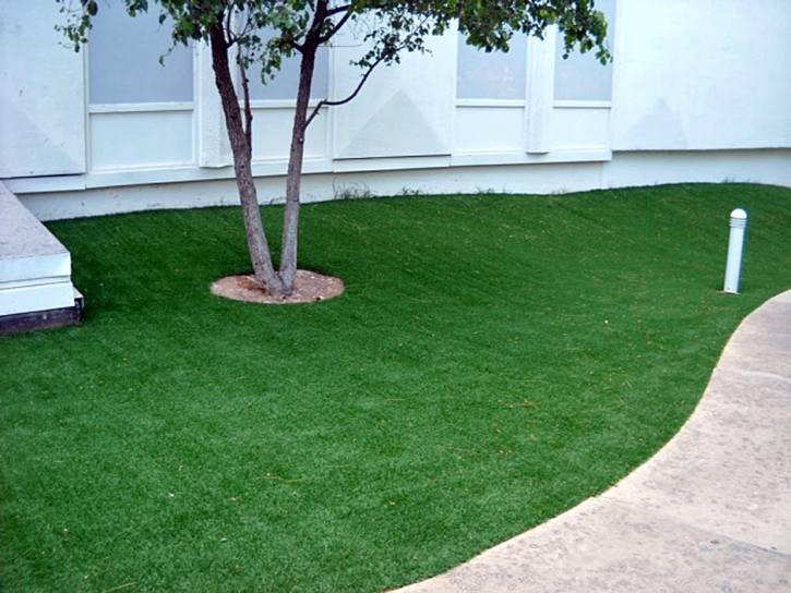 Artificial Grass Kekaha, Hawaii Backyard Playground, Commercial Landscape