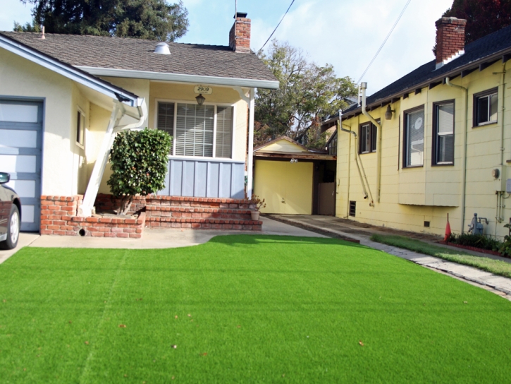 Artificial Grass Lahaina, Hawaii Backyard Deck Ideas, Front Yard Landscaping