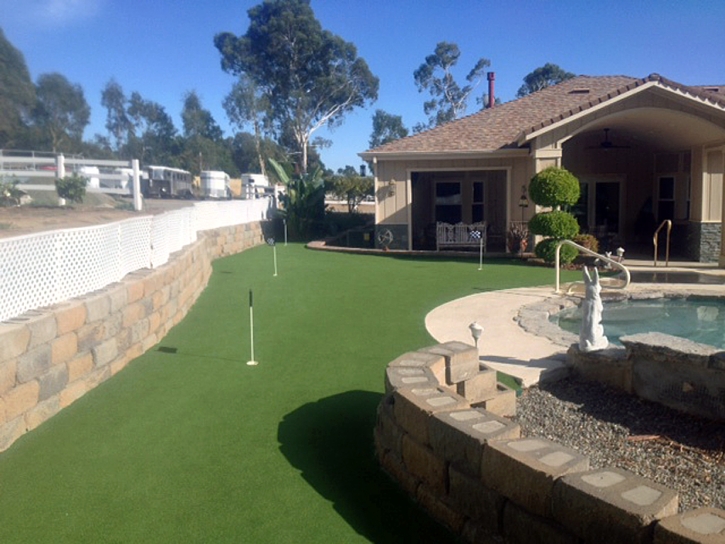 Artificial Grass Pahoa, Hawaii Backyard Deck Ideas, Backyard Landscaping