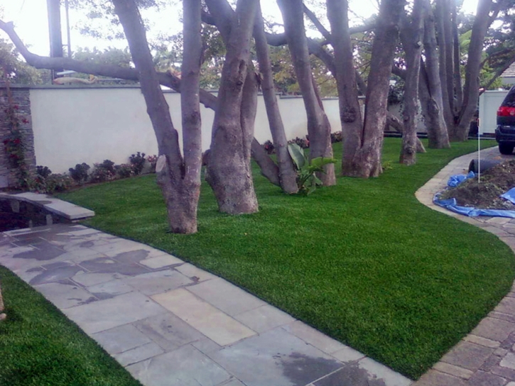 Artificial Grass Wailua, Hawaii Lawn And Landscape, Front Yard Design