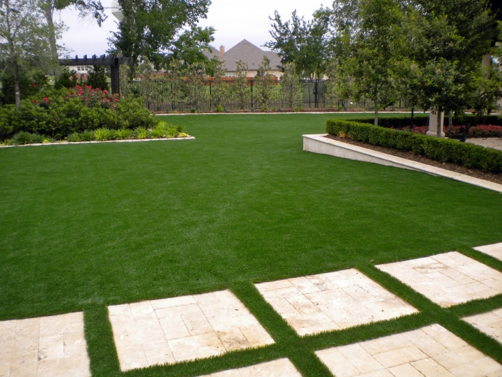 Artificial Grass Wailua Homesteads, Hawaii Landscaping Business, Backyard