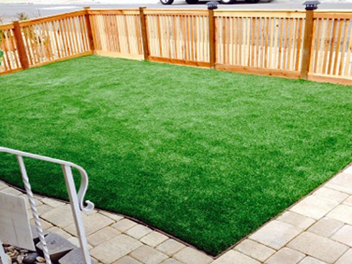 Artificial Grass Waipio Acres, Hawaii Landscaping, Backyard Landscaping Ideas