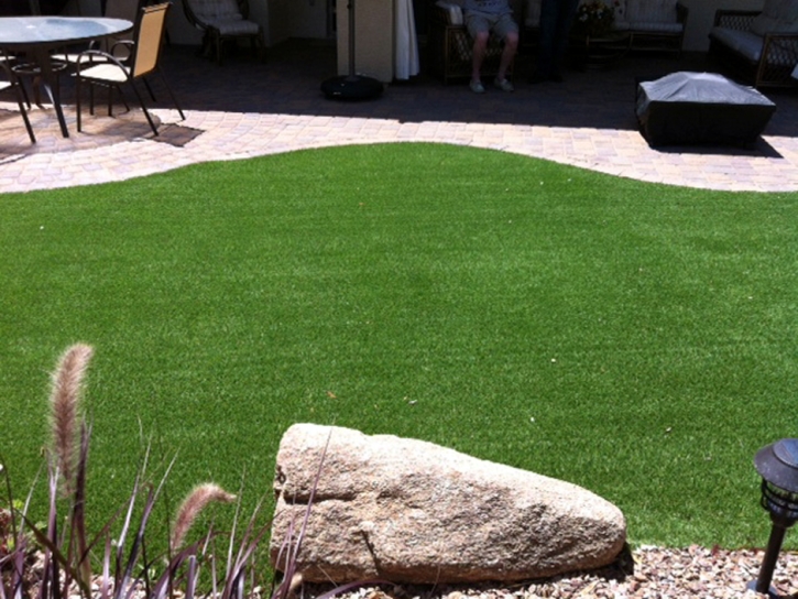 Artificial Lawn Aiea, Hawaii Cat Grass, Backyard Makeover