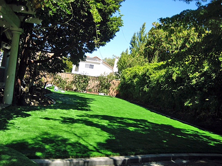 Artificial Lawn Captain Cook, Hawaii Roof Top, Backyards