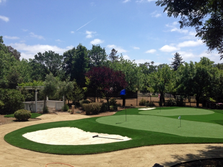 Artificial Lawn Eden Roc, Hawaii Backyard Putting Green, Front Yard Design