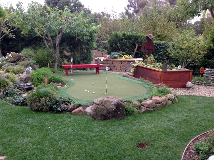 Artificial Lawn Iroquois Point, Hawaii Putting Green Grass, Beautiful Backyards