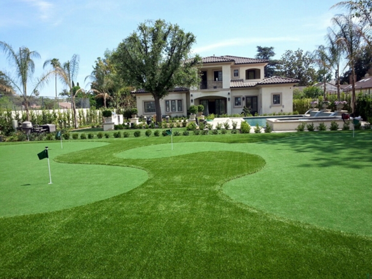 Artificial Lawn Kahului, Hawaii Backyard Playground, Small Front Yard Landscaping