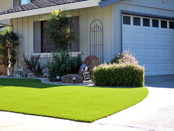 Artificial Lawn Puako, Hawaii City Landscape, Landscaping Ideas For Front Yard