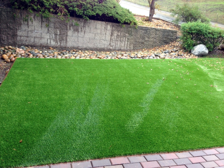 Artificial Lawn Waialua, Hawaii City Landscape, Backyard Designs